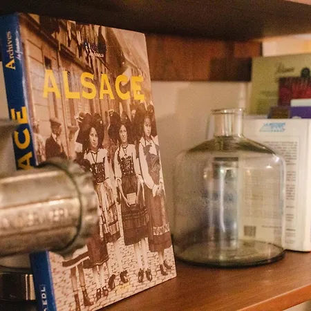 Cosy Avec Jardin Privatif Classe 4 Etoiles Soultz-Haut-Rhin