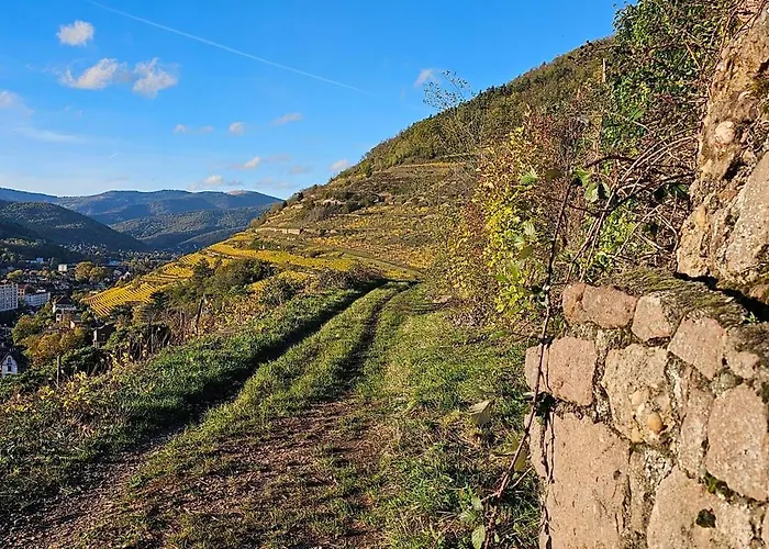 Appartement Cosy Avec Jardin Privatif Classe 4 Etoiles *