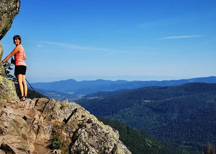 Appartement Cosy Avec Jardin Privatif Classe 4 Etoiles Soultz-Haut-Rhin