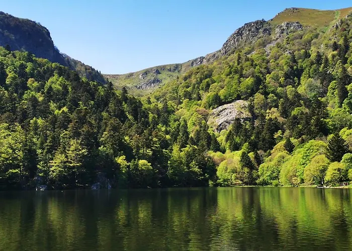Cosy Avec Jardin Privatif Classe 4 Etoiles Appartement