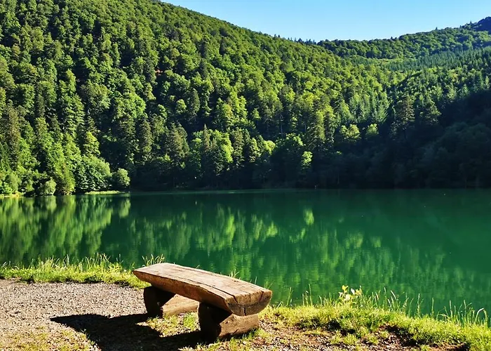 Appartement Cosy Avec Jardin Privatif Classe 4 Etoiles