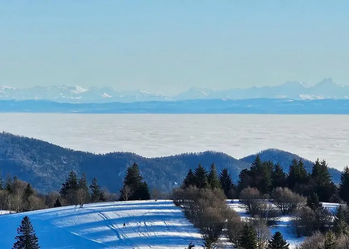 Appartement Cosy Avec Jardin Privatif Classe 4 Etoiles Soultz-Haut-Rhin