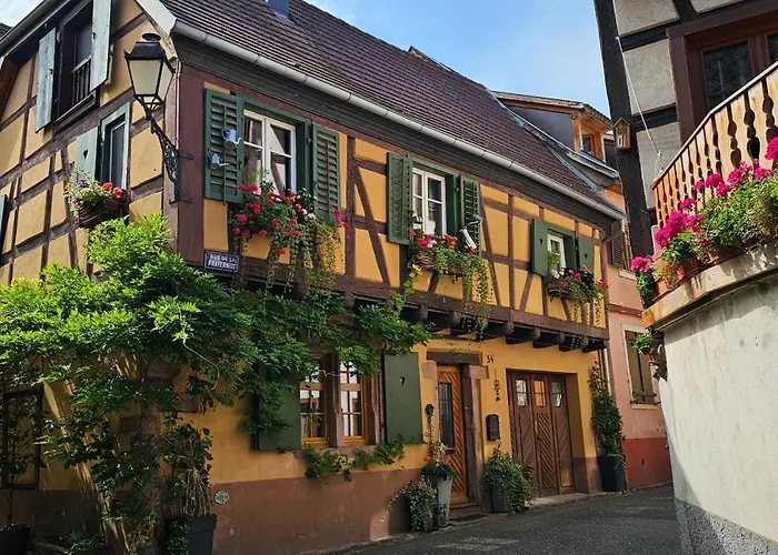 Appartement Cosy Avec Jardin Privatif Classe 4 Etoiles *